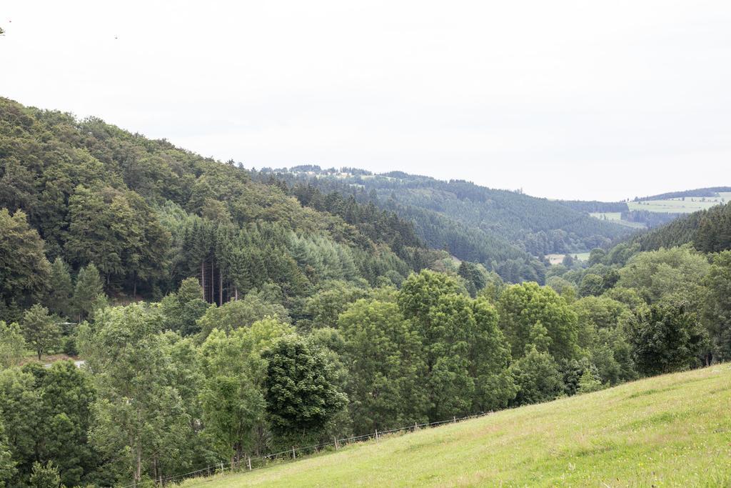 Ruhenest Appartement Willingen (Upland)